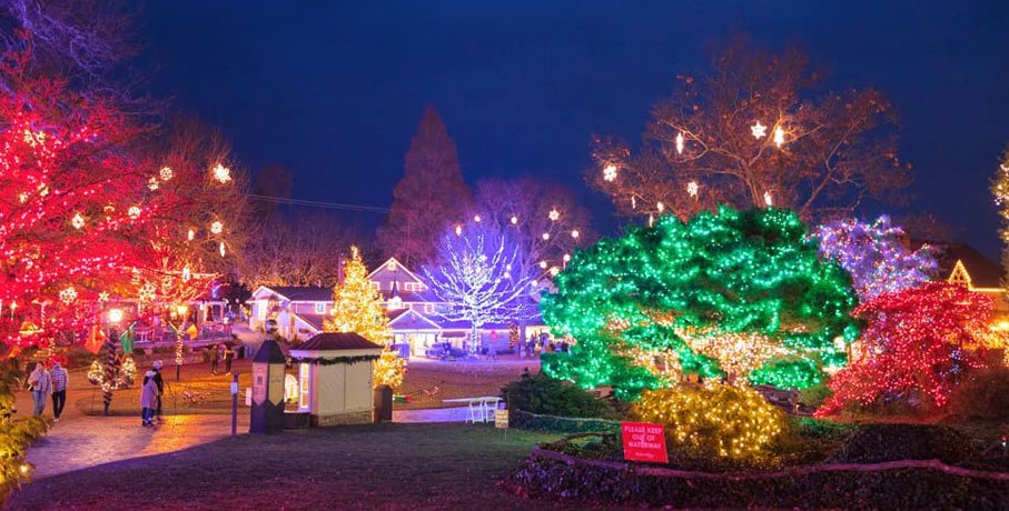 Christmas lights on buildings and trees